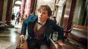 fantastic beasts
