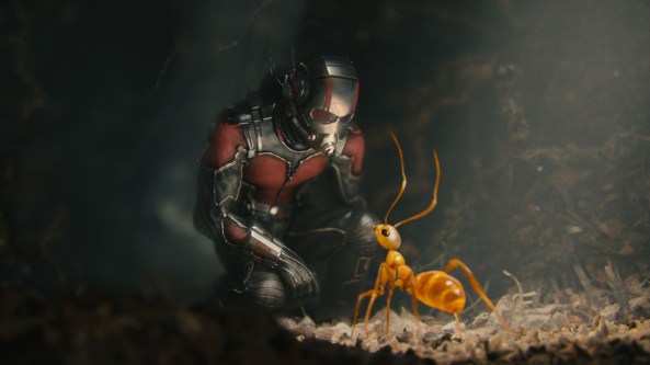 ant man and baby ant